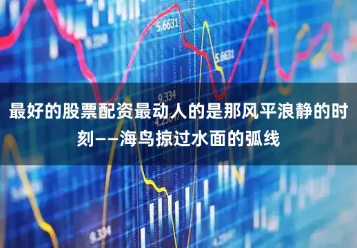 最好的股票配资最动人的是那风平浪静的时刻——海鸟掠过水面的弧线