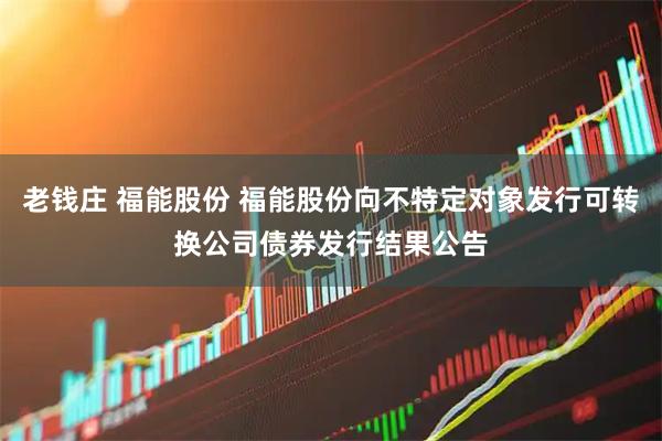 老钱庄 福能股份 福能股份向不特定对象发行可转换公司债券发行结果公告