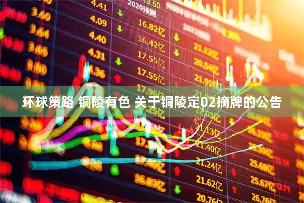 环球策路 铜陵有色 关于铜陵定02摘牌的公告