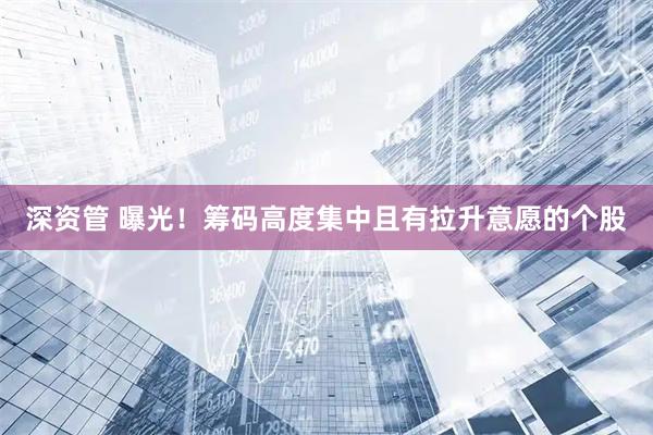 深资管 曝光！筹码高度集中且有拉升意愿的个股