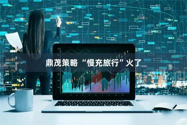 鼎茂策略 “慢充旅行”火了