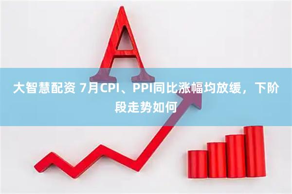 大智慧配资 7月CPI、PPI同比涨幅均放缓，下阶段走势如何
